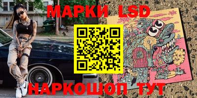 шишки Ставрополь
