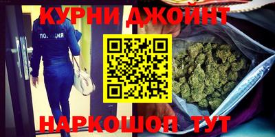 шишки Ставрополь