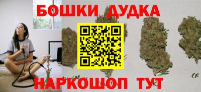 шишки Ставрополь
